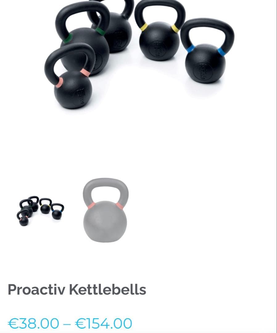 ケトルベル　PRO ACTIVE(プロアクティブ) 20kg ①