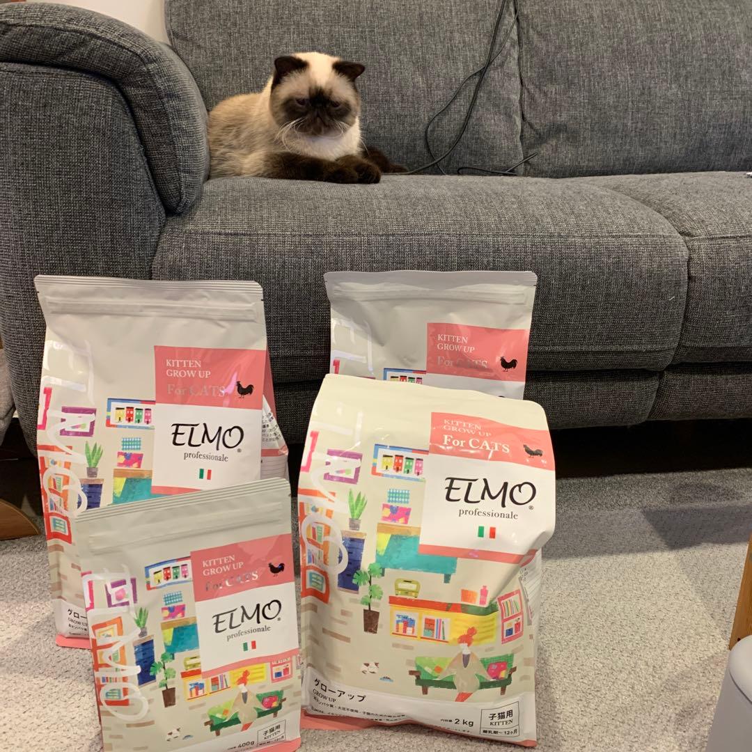 ELMO キトゥン グロウアップ ドライフード