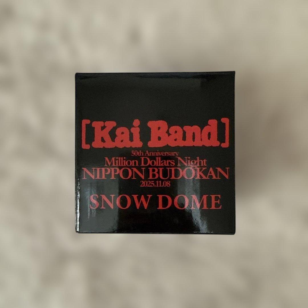 甲斐バンド スノードーム 50周年記念