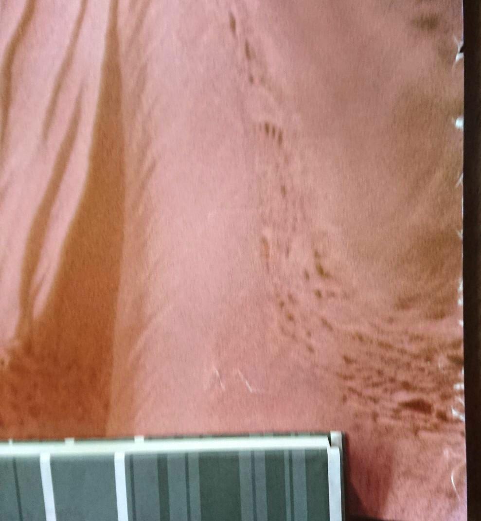 【未使用】中森明菜 明治チョコレート ポスターB１