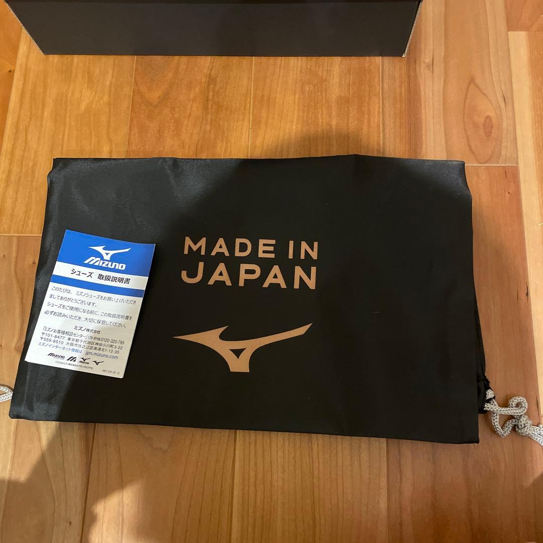 MORELIA Ⅱ JAPAN AG P1GA250360