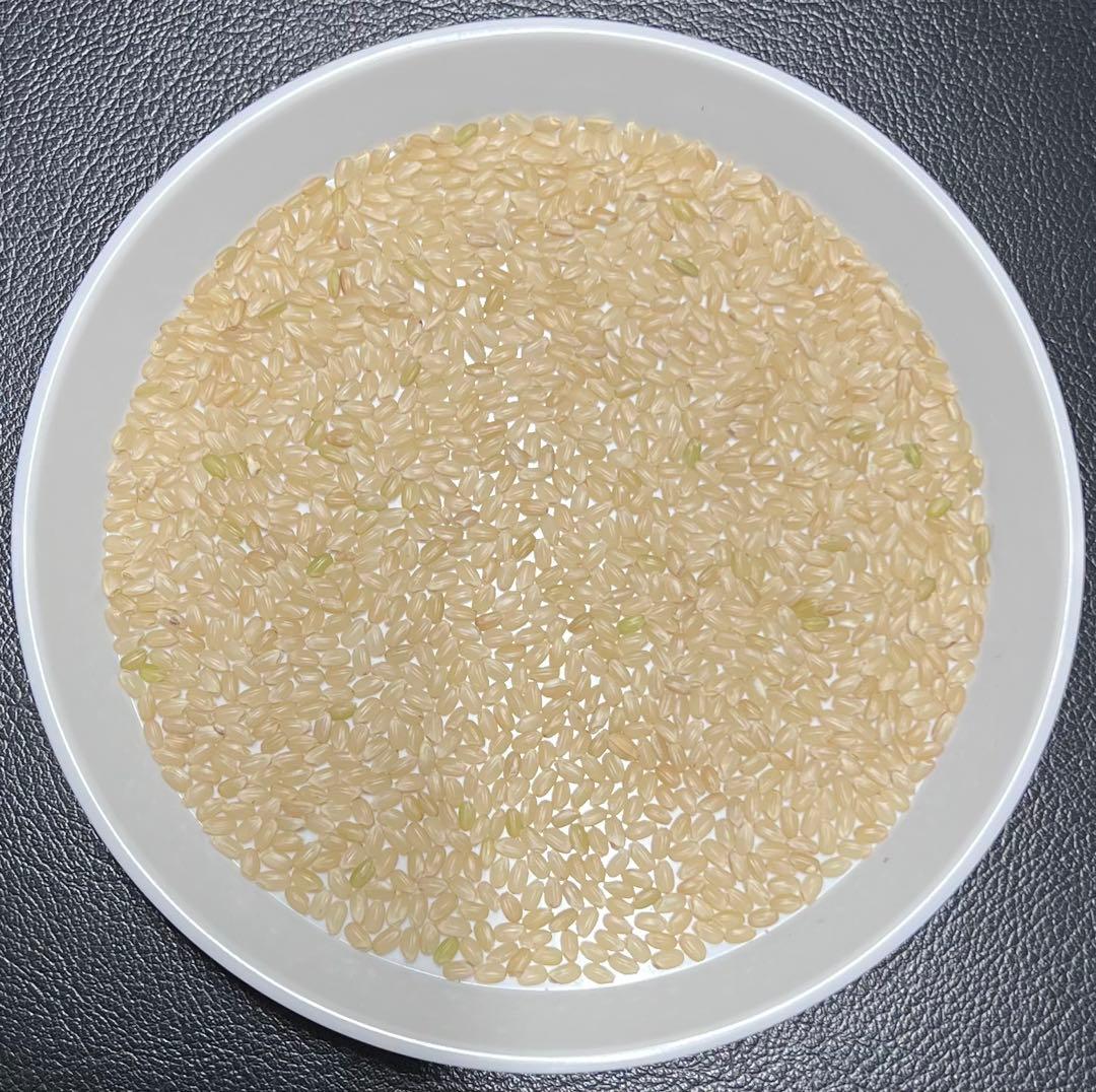 令和7年産 京都丹後米 コシヒカリ 玄米 30kg