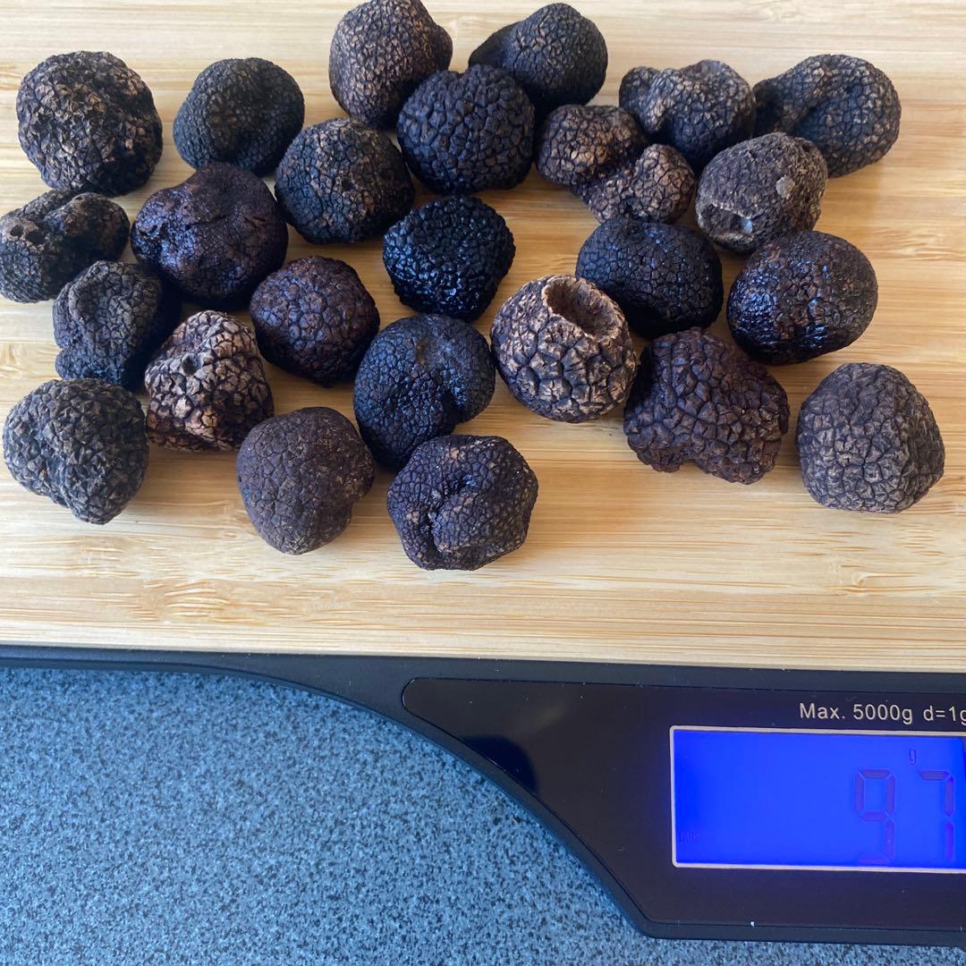 国産　山梨県産　天然黒トリュフ 小　　約97g