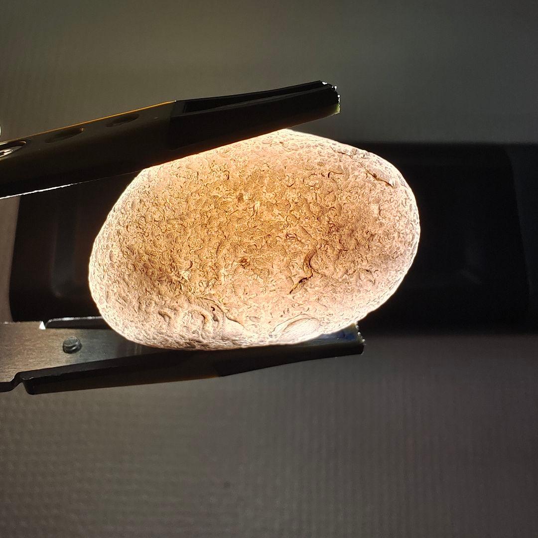 チンターマニストーン15g&おまけ付き NO.319