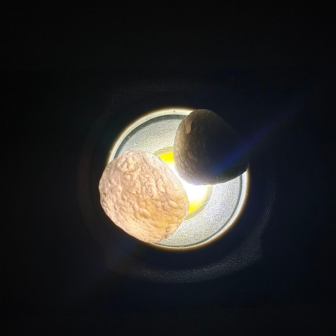 チンターマニストーン15g&おまけ付き NO.319