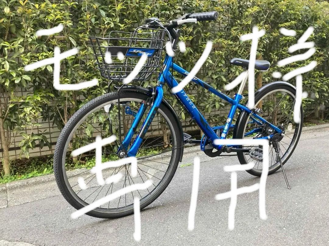 ジュニア用自転車　ミヤタ　スパイキー （モッツ）