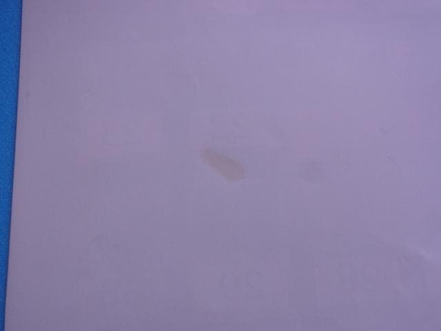 未使用品　非売品　マジック・ザ・ギャザリング　カレンダー　2000年　ポスター