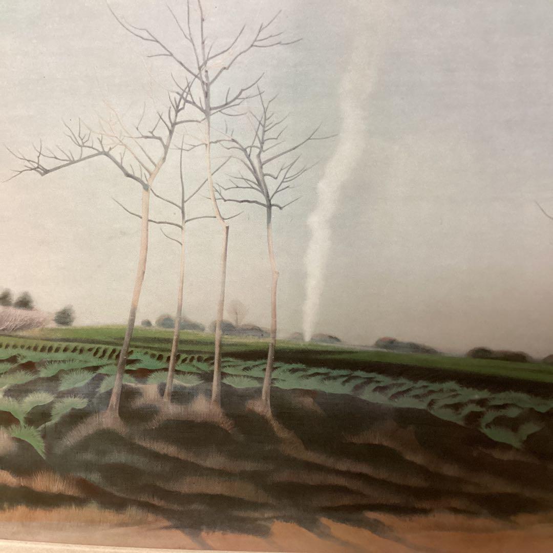 天才画家速水御舟　作品集大作編より　便利堂監修　画集NO 13 【平野晴景】