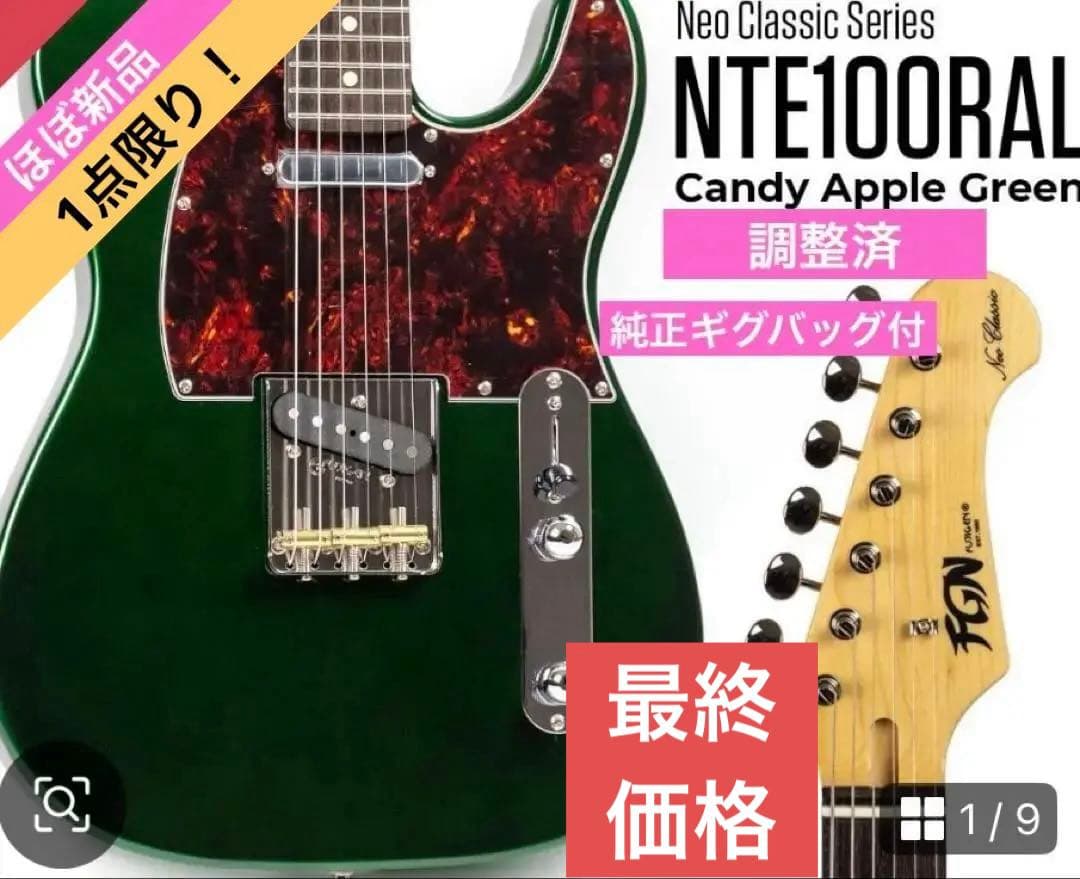 FUJIGEN NTE100RAL-CAG 新品同様