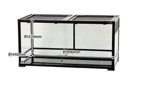 Cindy Entac様パンテオン9045ブラック未使用未開封1台