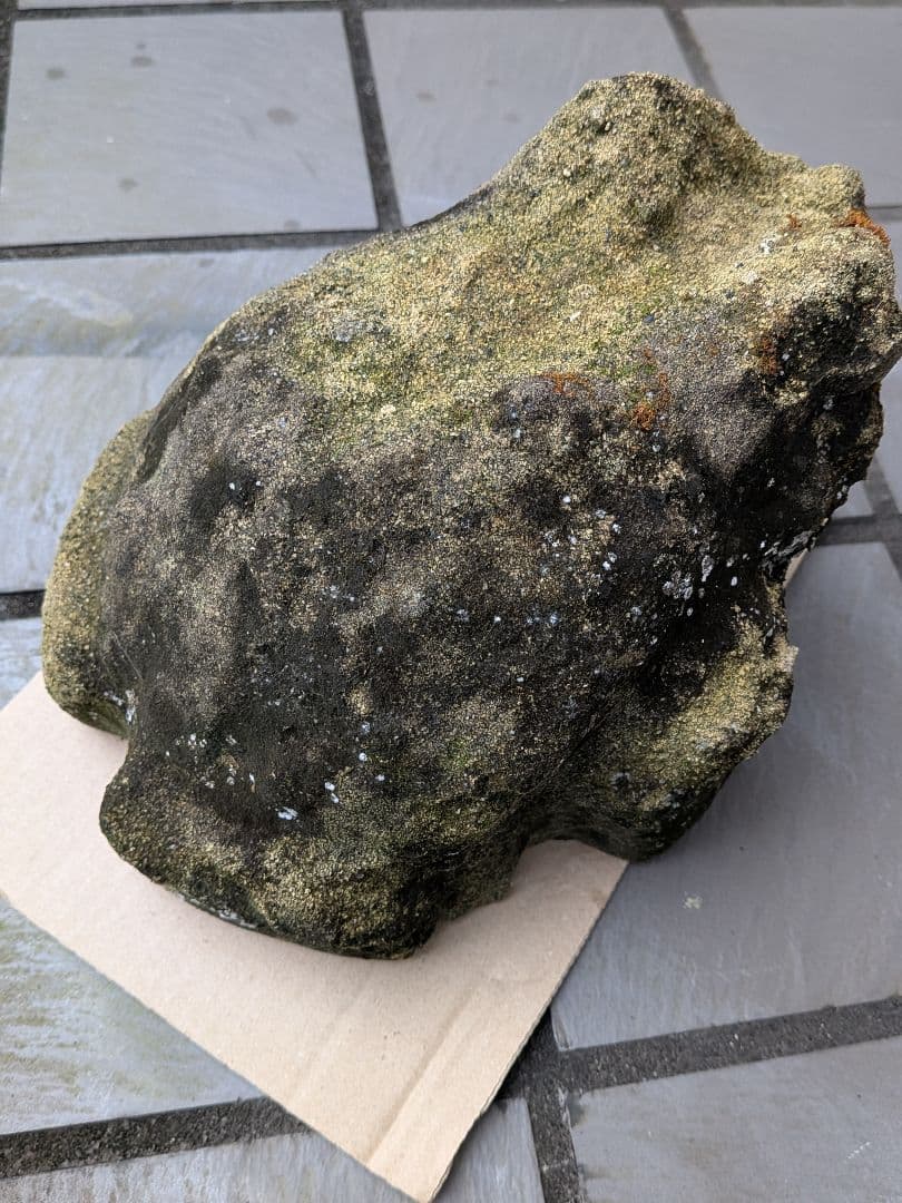 海外コレクター向き明治時代〜昭和戦前期頃蛙苔むした全長２３センチ重さ５キロ飾置物