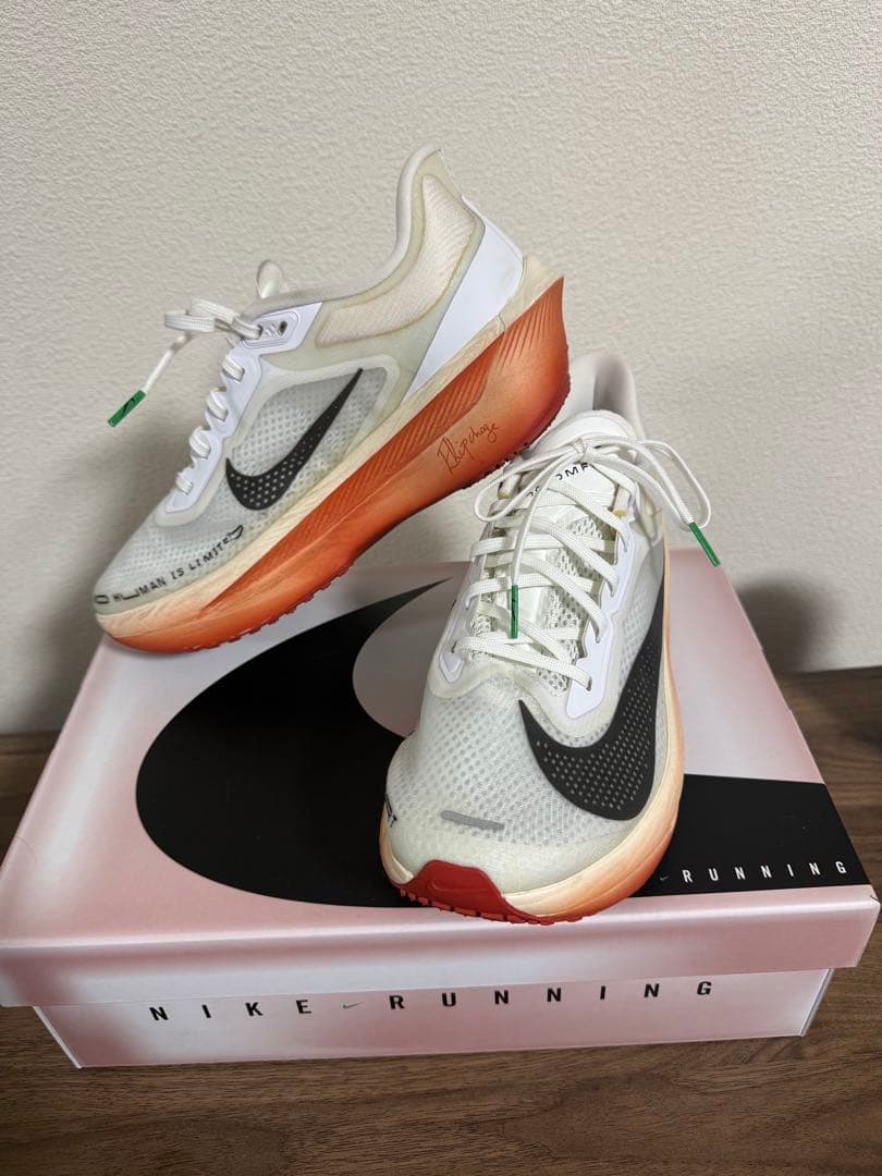 ナイキ ズーム フライ 6 \