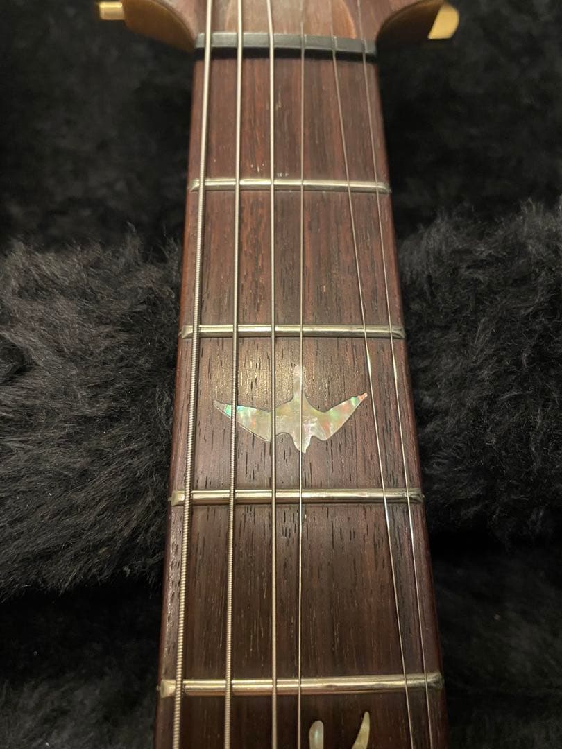 ギター PRS Custom 24 2016 Limited Korina