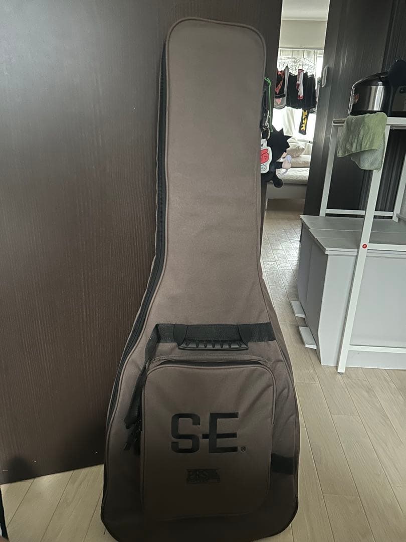 ギター PRS SE Custom24 Gray Black