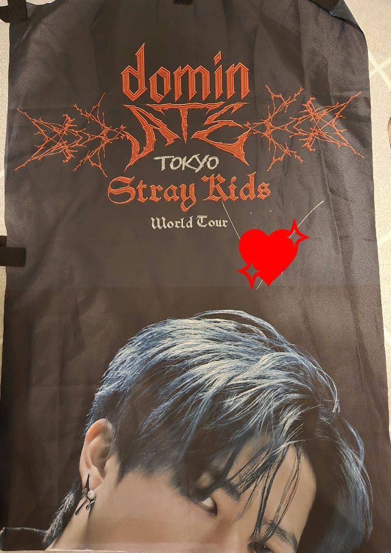 スキズ　オフイベ　チャンビン