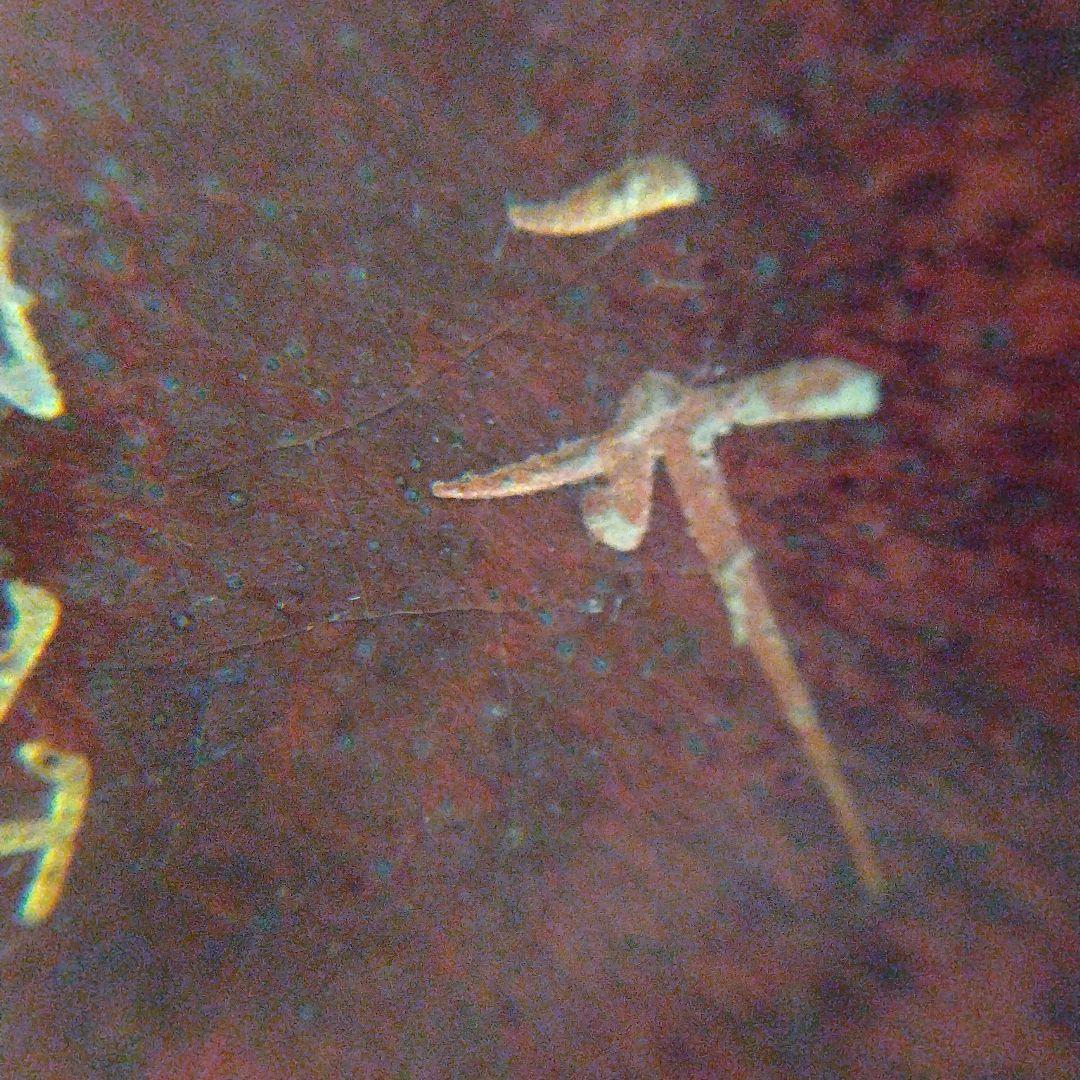 宋代鈞窯红釉宋徽宗御用筆洗奉華御用底款