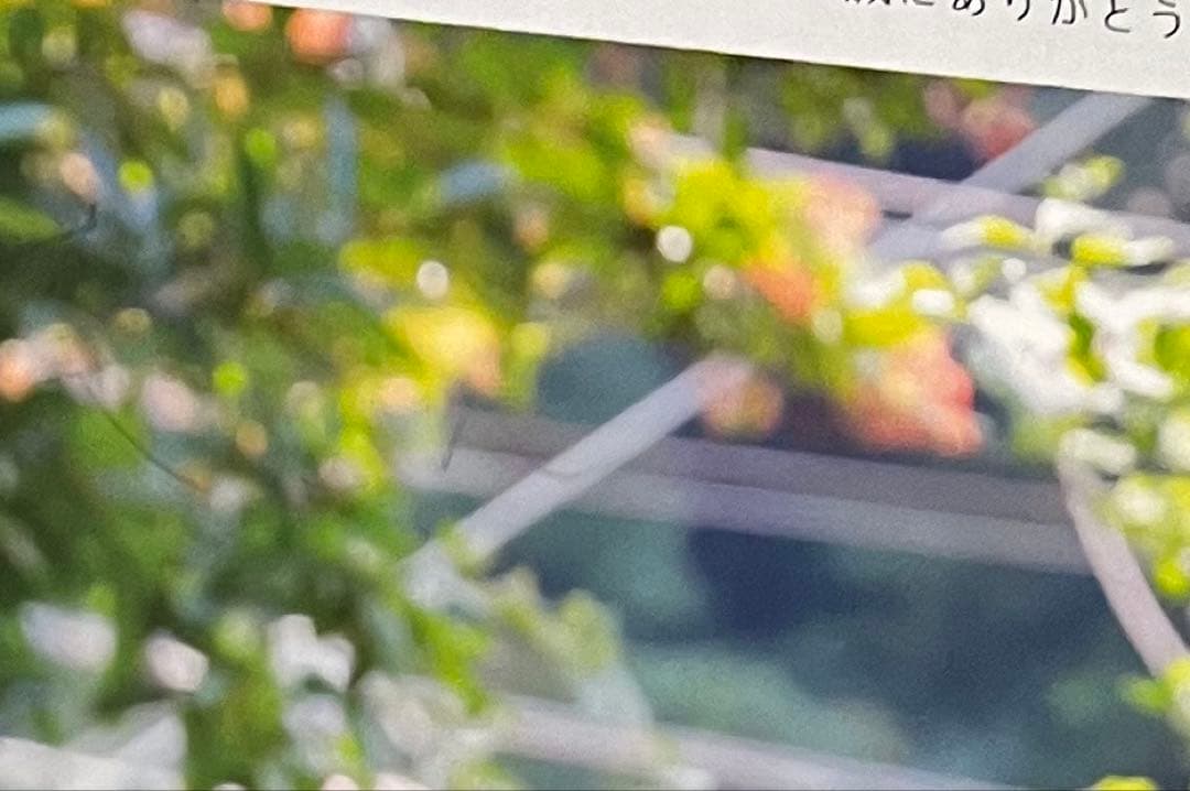 2019、奥野壮、サイン、パネル