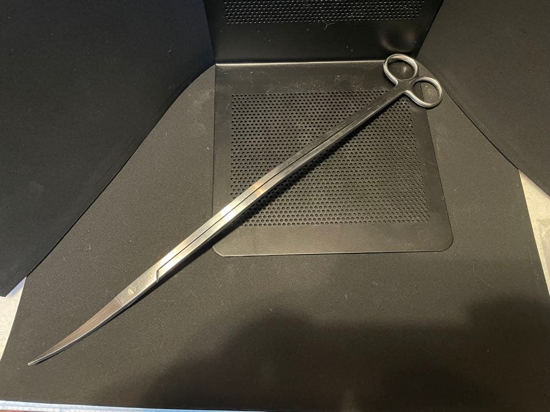 ADA プロシザース　ヌード