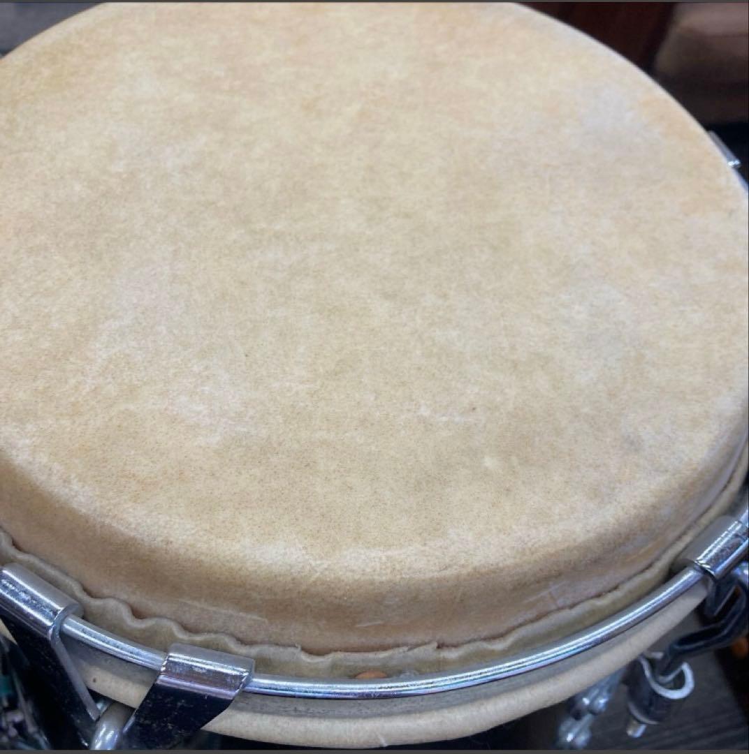 Pearl コンガ 黒　4/22処分