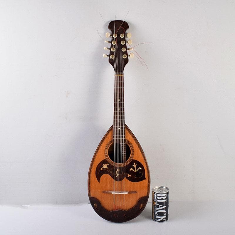 楽器　弦楽器　マンドリン　Arai　N　6981C