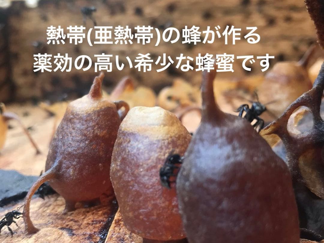 針なしミツバチの蜂蜜、ココナッツシュガー、クサンバの塩、ターメリックパウダー