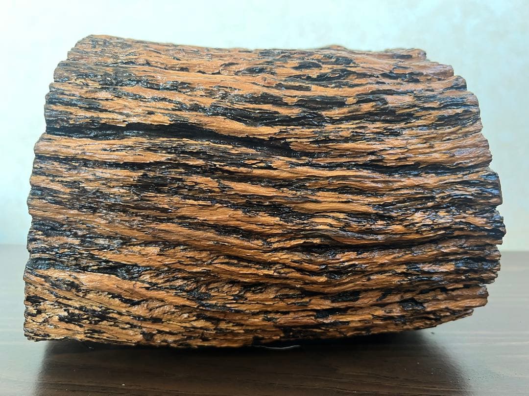 HX-008 流木　空洞　爬虫類　アクアリウム　アクアテラリウム　即沈水