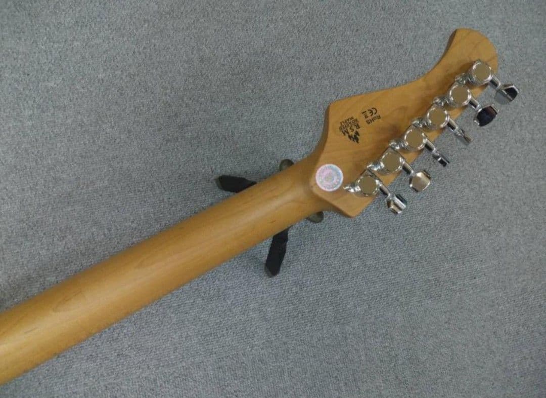 ギター Bacchus TACTICS-CTM25 RSM/M BLK