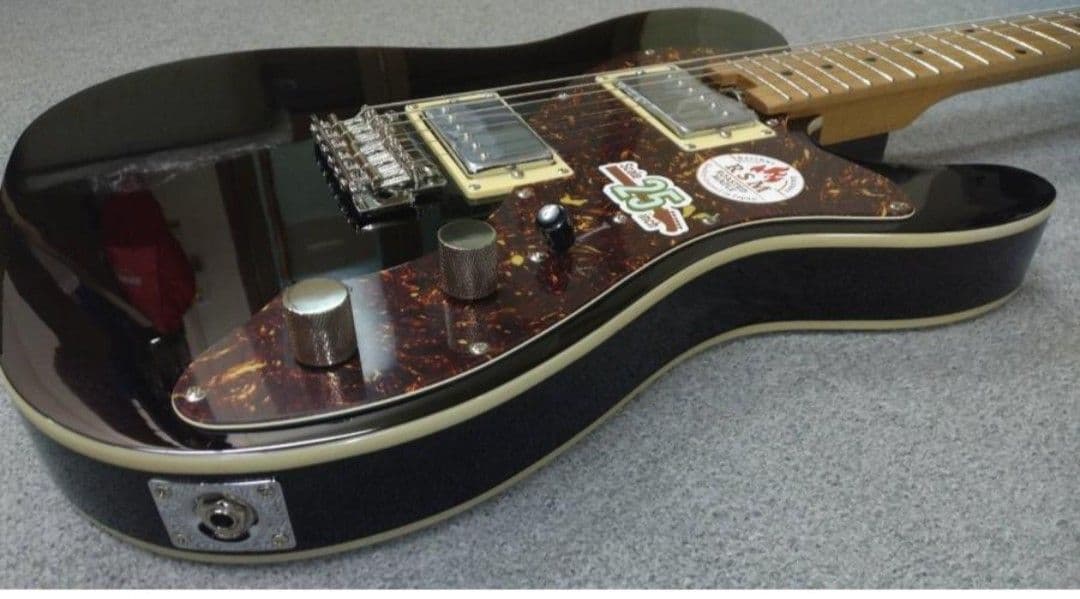 ギター Bacchus TACTICS-CTM25 RSM/M BLK