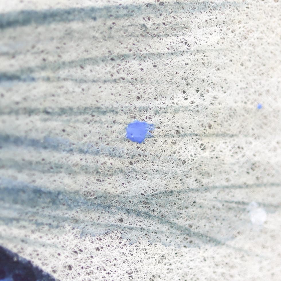 平子真理 黒潮 肉筆 額装 タトウ付