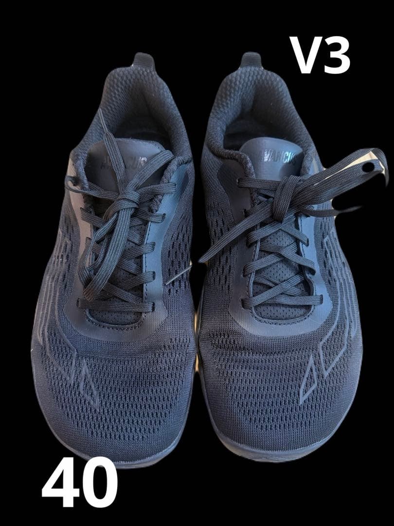 ウエイトトレーニング AVANCAS APEXPOWER V3 40