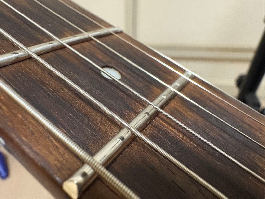 [希少]Washburn N61 クリームカラー