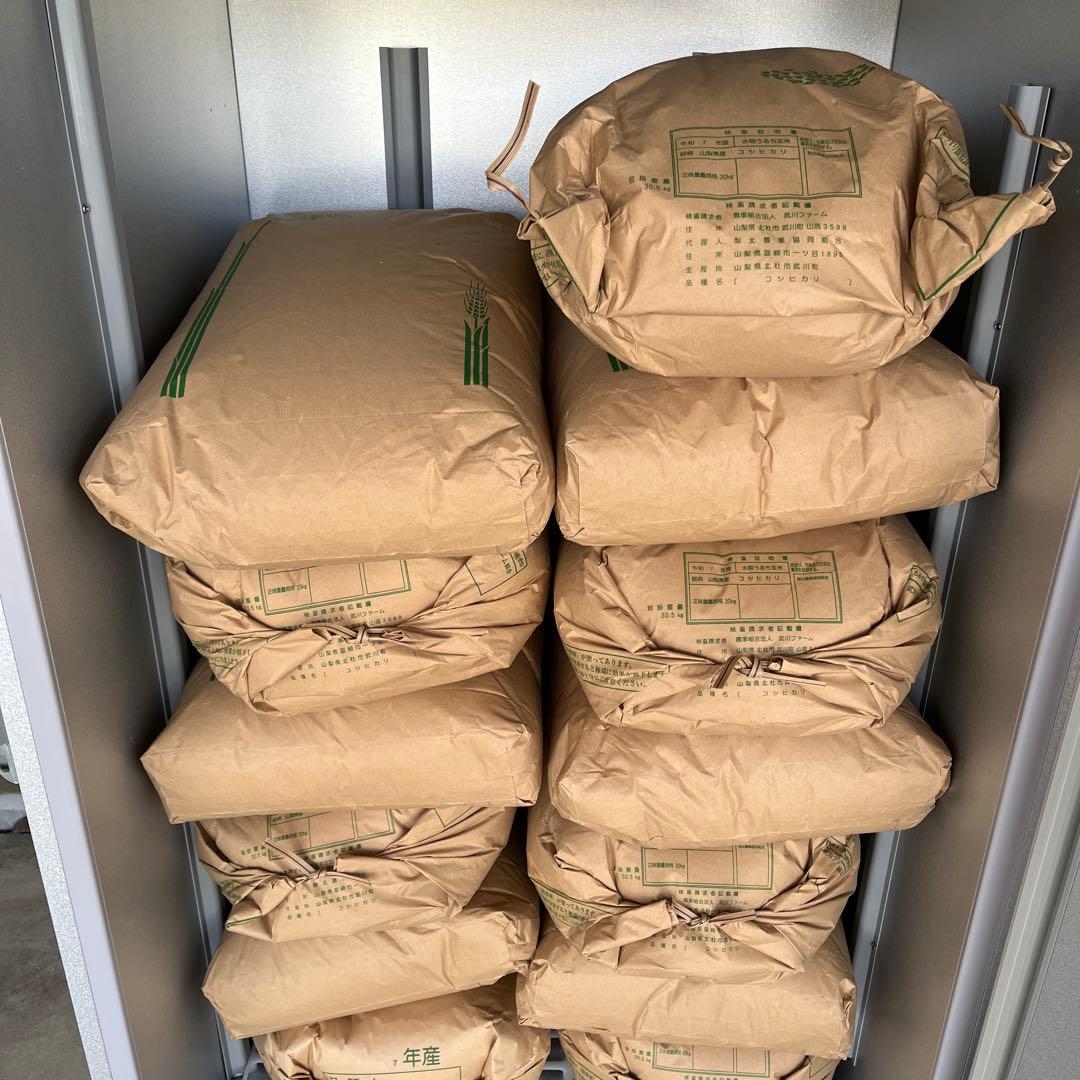 山梨県産 武川米　コシヒカリ 10kg 玄米　白米　令和七年度産　土日限定価格