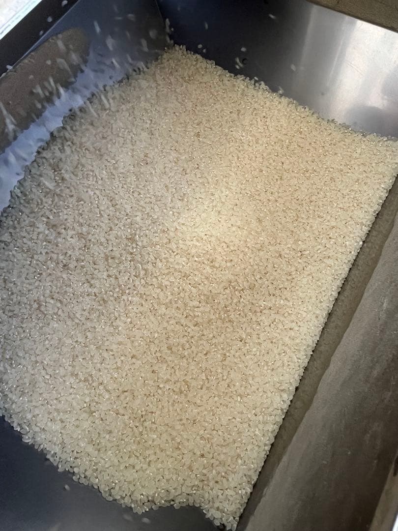 山梨県産 武川米　コシヒカリ 10kg 玄米　白米　令和七年度産　土日限定価格