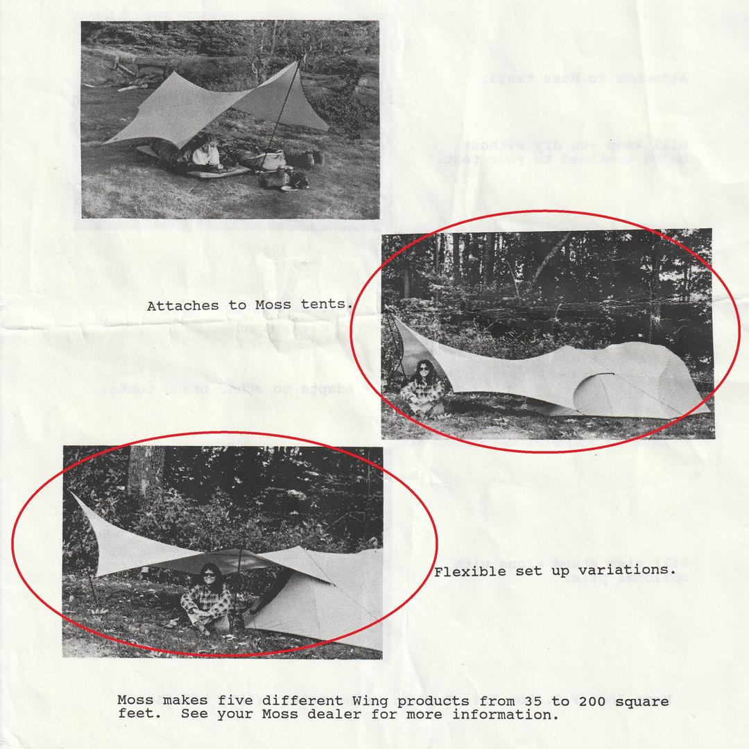 moss tents モス　ヘプタウィング