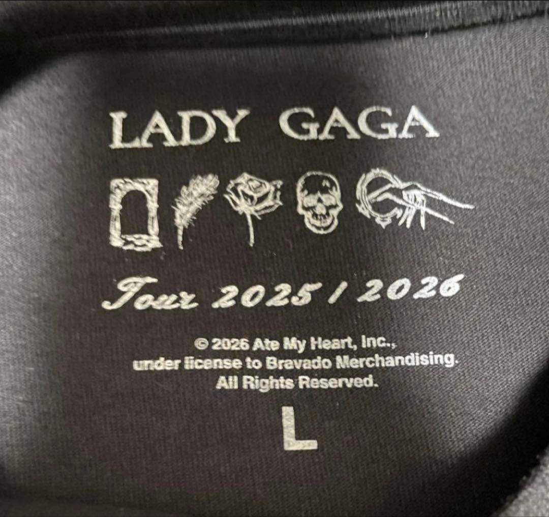 ミュージシャン Lady Gaga Dance Or Die