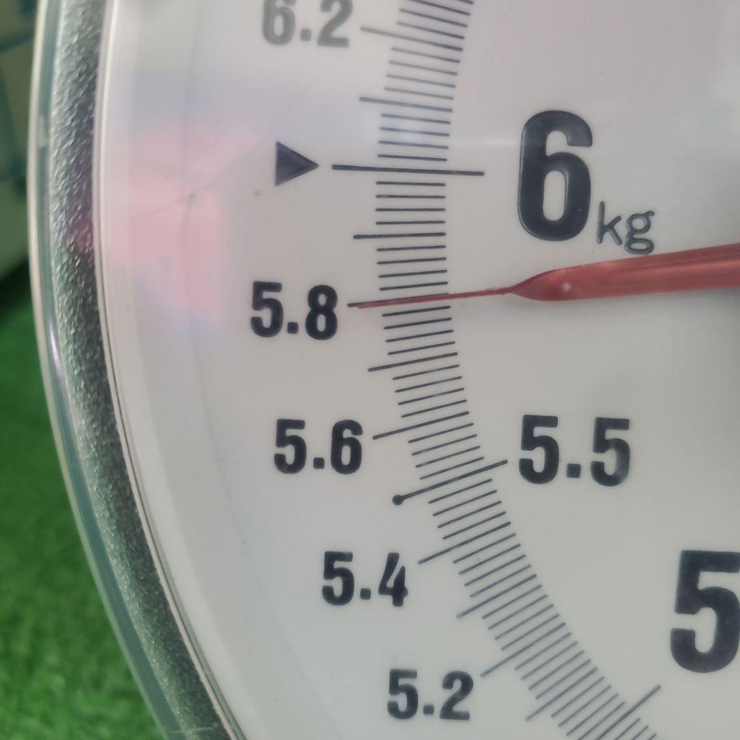 4️⃣ 山梨県産 シャインマスカット １０房入り 箱込み5.7キロ