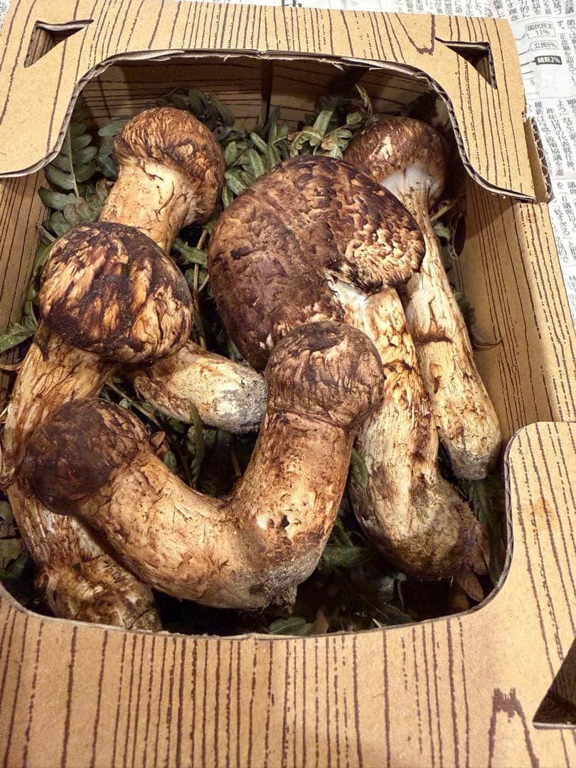 長野県産　松茸　175g