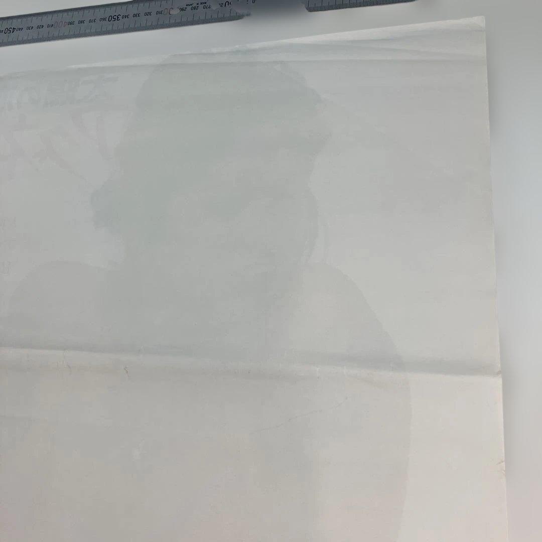 太陽の恋人 アグネス・ラム　映画ポスター