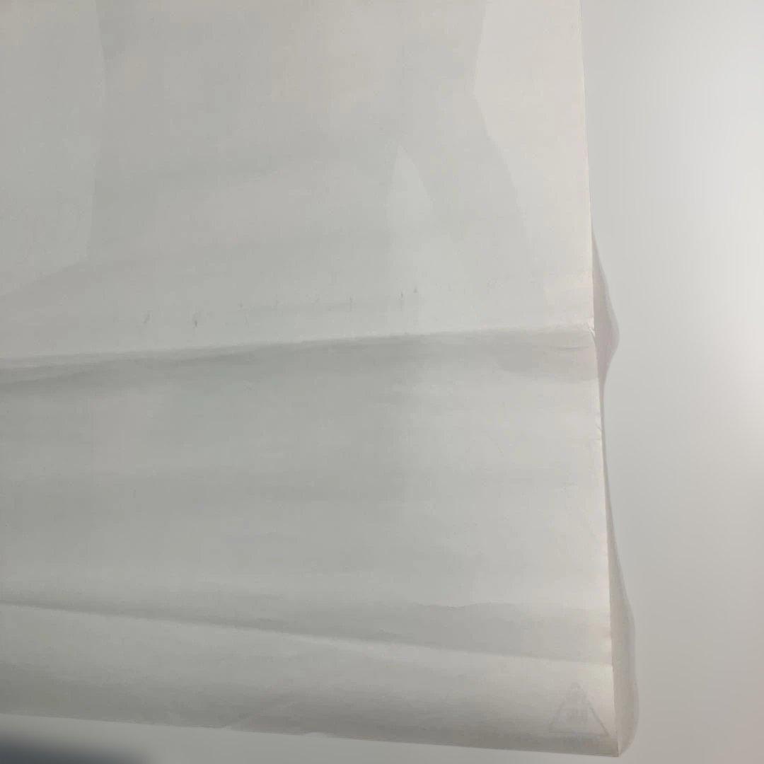 太陽の恋人 アグネス・ラム　映画ポスター