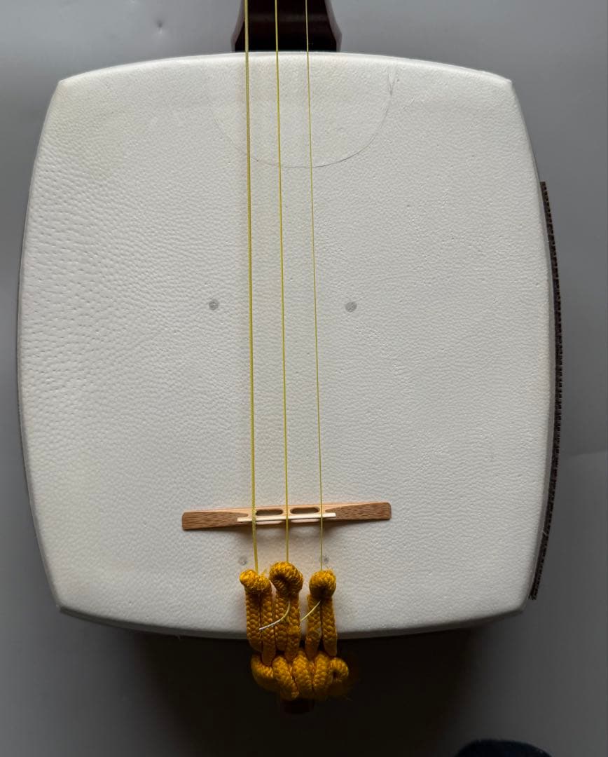 三味線　動物皮　良コンディション　堅牢トランクケース付　フルセット