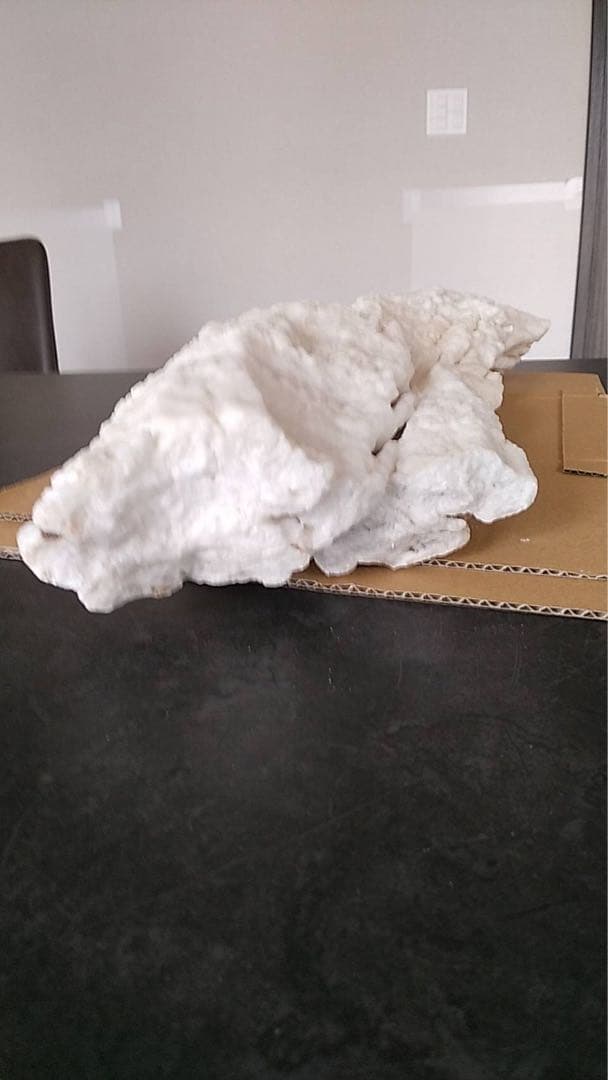 鍾乳石　天然石　天然記念　盆石　鉱物　化石　景石　結晶　古道具　オブジェ