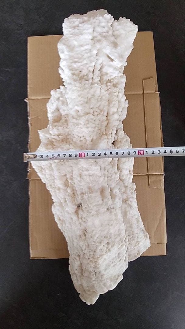 鍾乳石　天然石　天然記念　盆石　鉱物　化石　景石　結晶　古道具　オブジェ