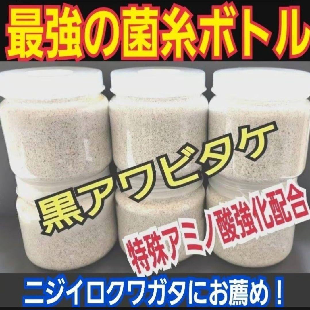 ニジイロクワガタにお薦め！黒アワビタケ菌糸瓶【８本】オオクワ、ヒラタ、ノコギリに