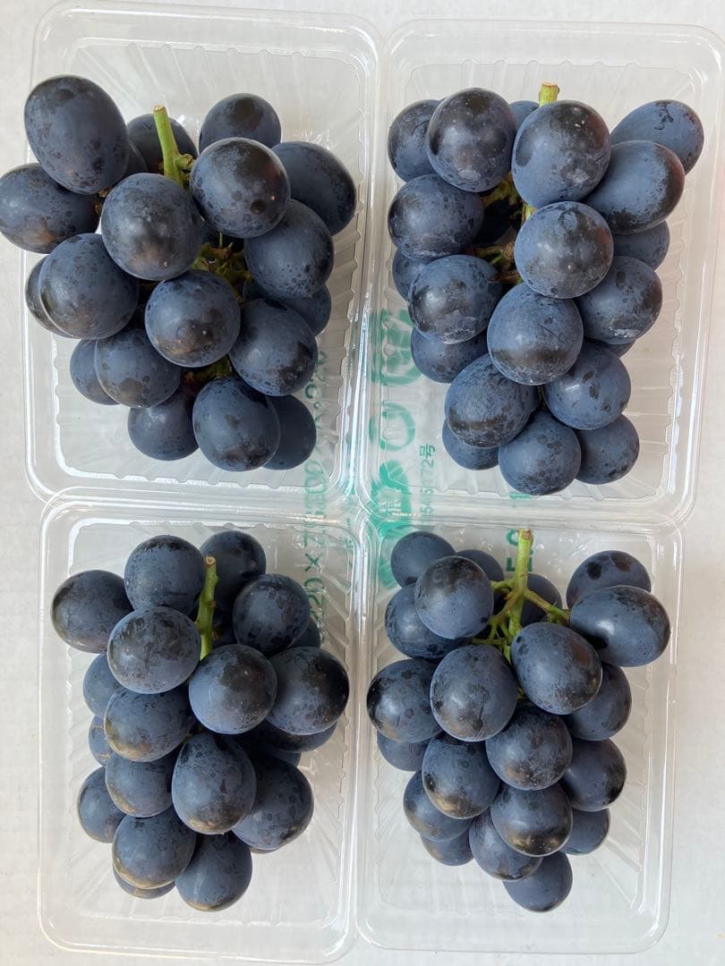 信州産長野パープル