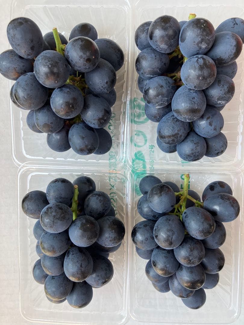 信州産長野パープル