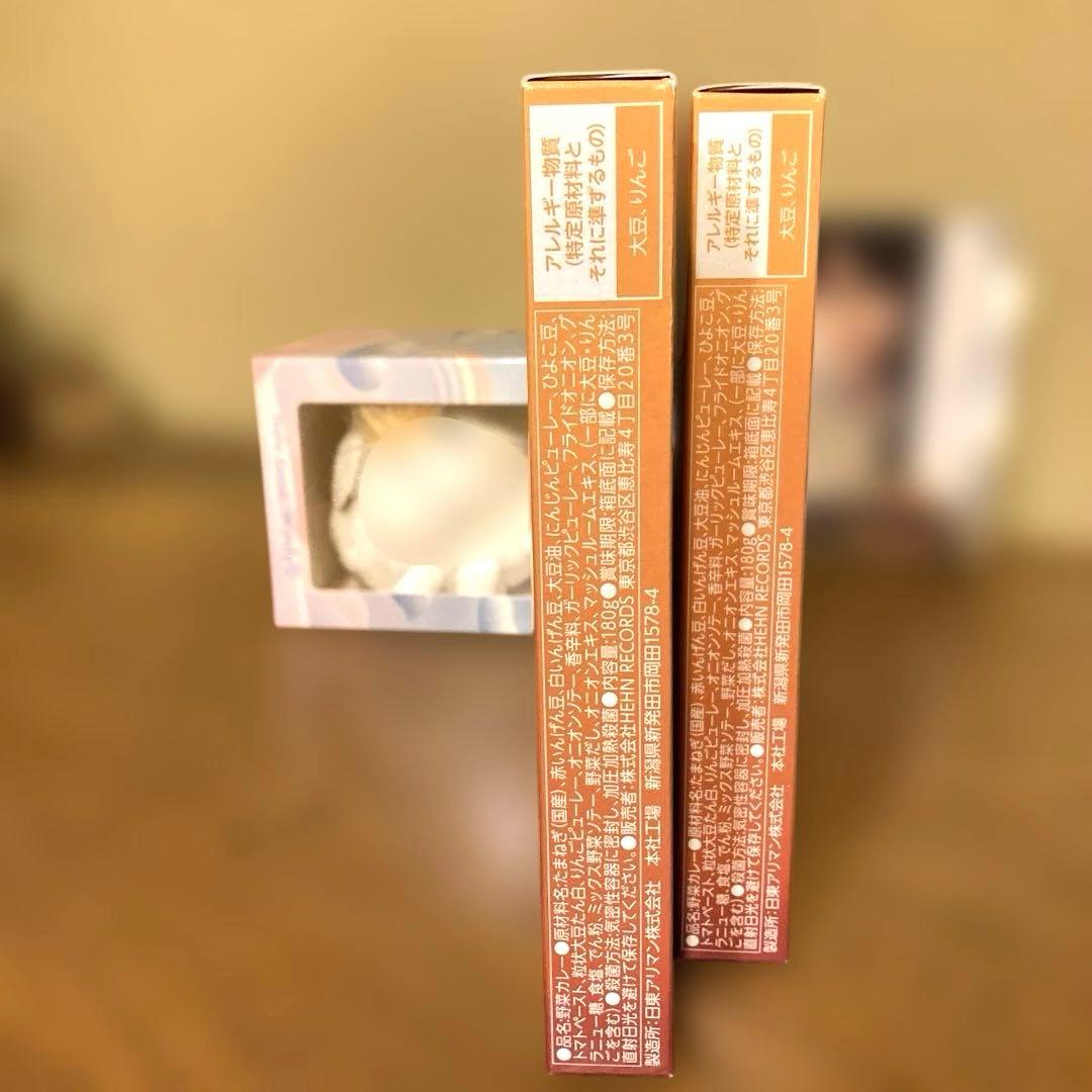 Windyちゃんと藤井風カレー2個セット