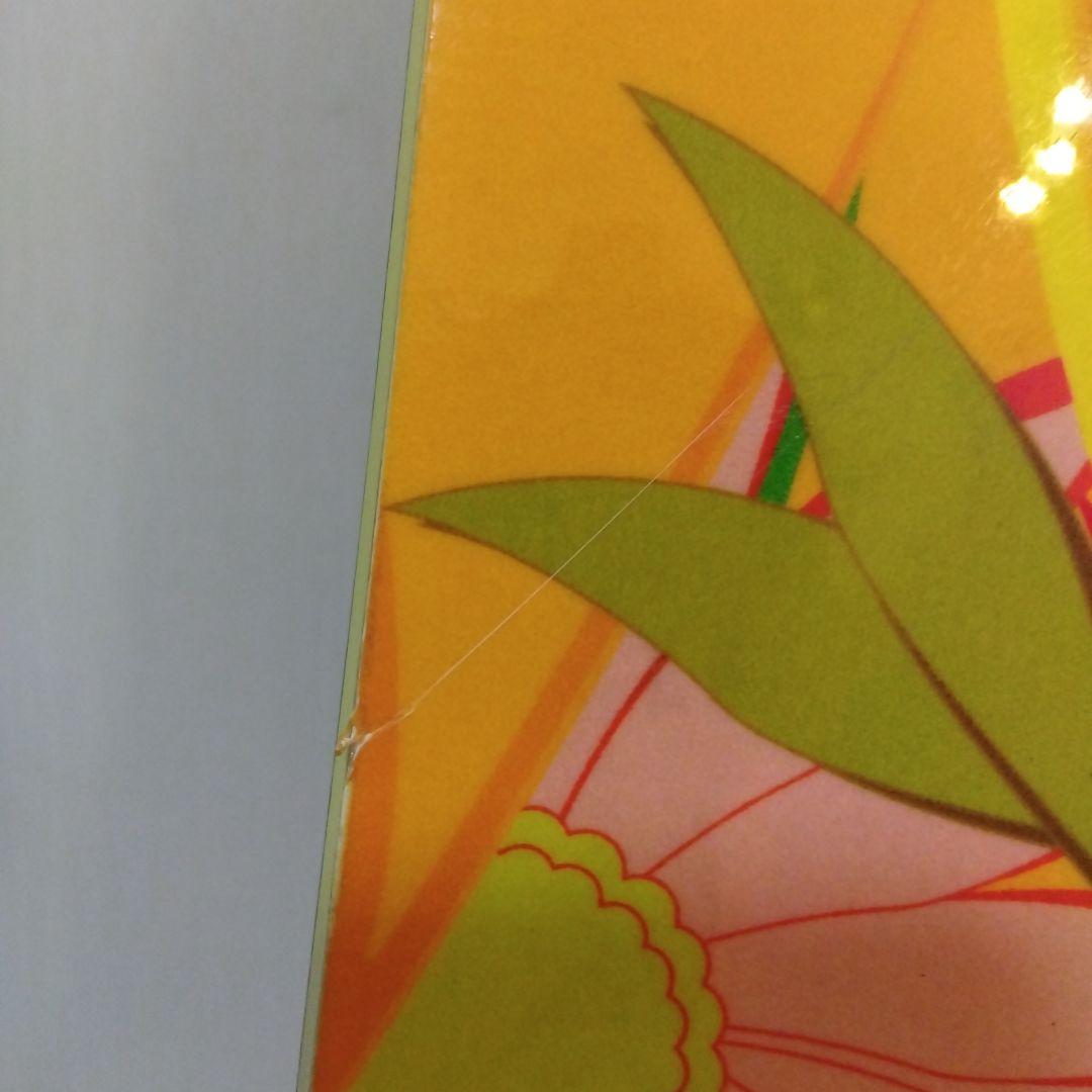 アルペンスノーボード