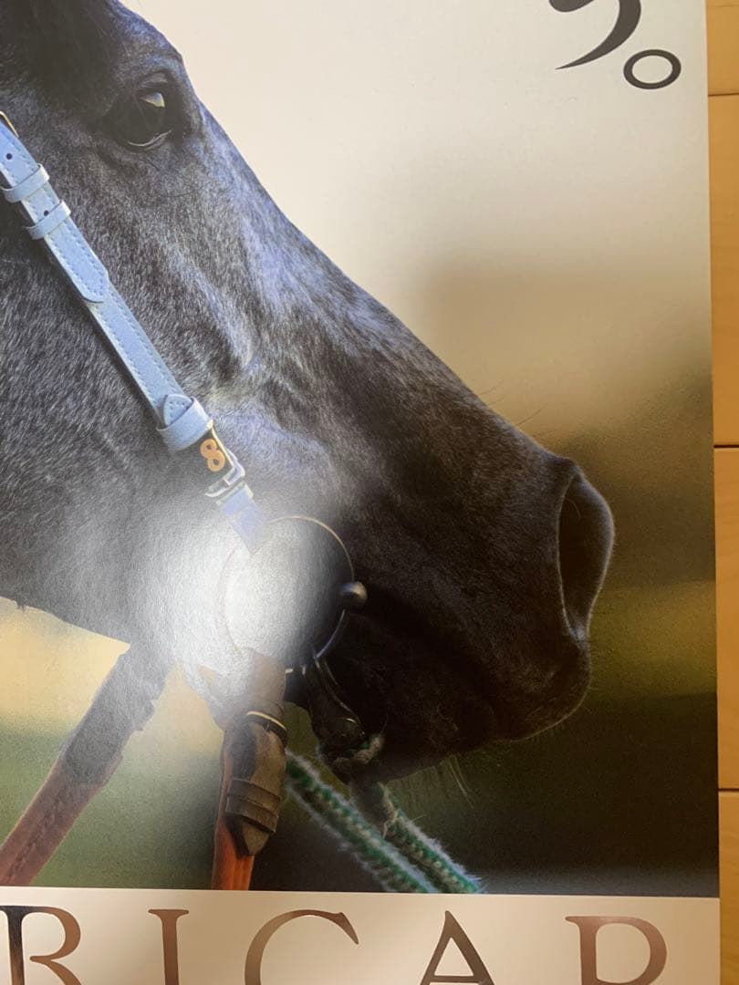 ヒーロー列伝　初期　オグリキャップ　シルバー　　B3 ポスター　JRA