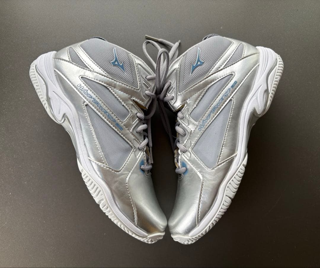 Mizuno ウェーブダイバース　LG4 シルバー　24.0cm