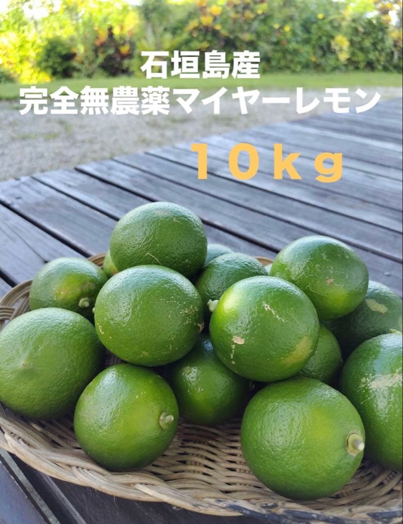 石垣島産　完全無農薬マイヤーレモン１０キロ